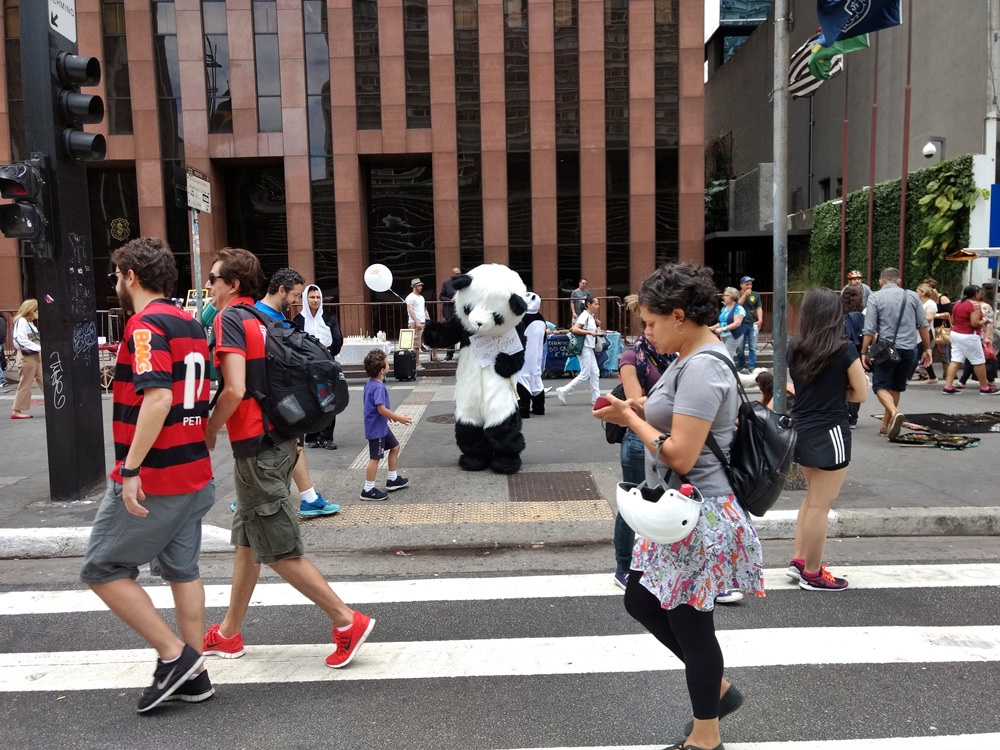 Panda, na Paulista Aberta.